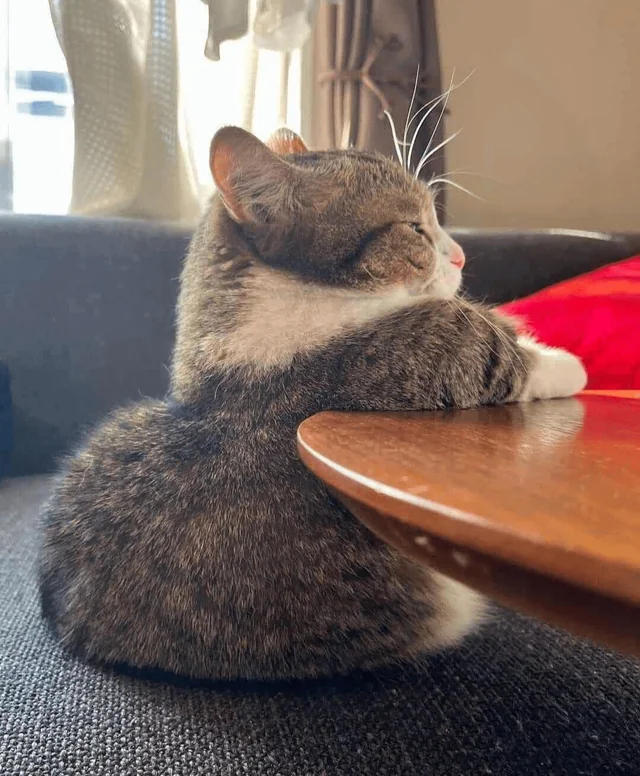 Waiting for the bartender to notice me – Image