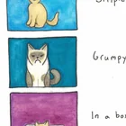 Niche Interests [OC] #1 – Image