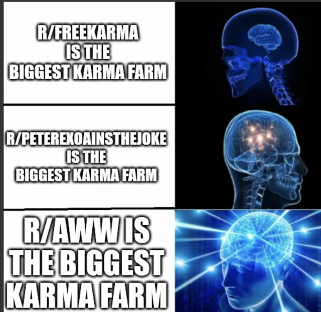 Can confirm this is true #1 – Image