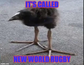 New world Rugby. #1 – Image