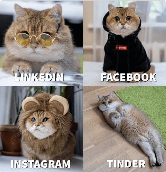 My profile pics Which profile you like the most?