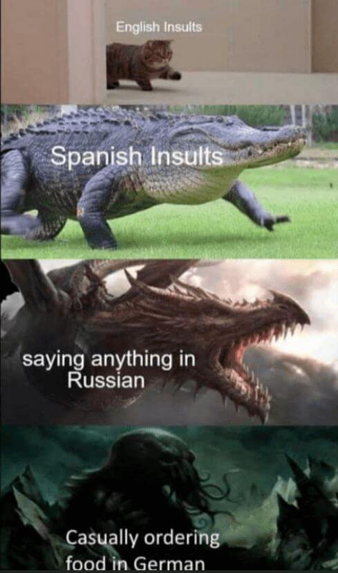 English Insults Spanish Insults saying anything in Russian Casually ordering food in German