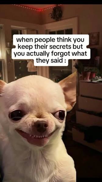 when people think you • keep their secrets but you actually forgot what they said: